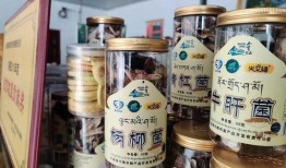 深圳小宋最新爆料事件真相,揭秘背后真相与真相背后的真相