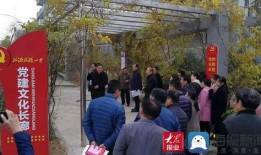 临沂一中爆料事件最新进展,真相逐步浮出水面，后续调查进展如何？