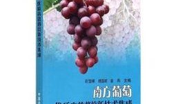 葡萄爆料视频大全最新版,最新版精彩内容大盘点