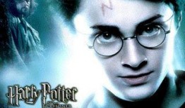 哈利克最新爆料视频大全,揭秘幕后真相与精彩瞬间